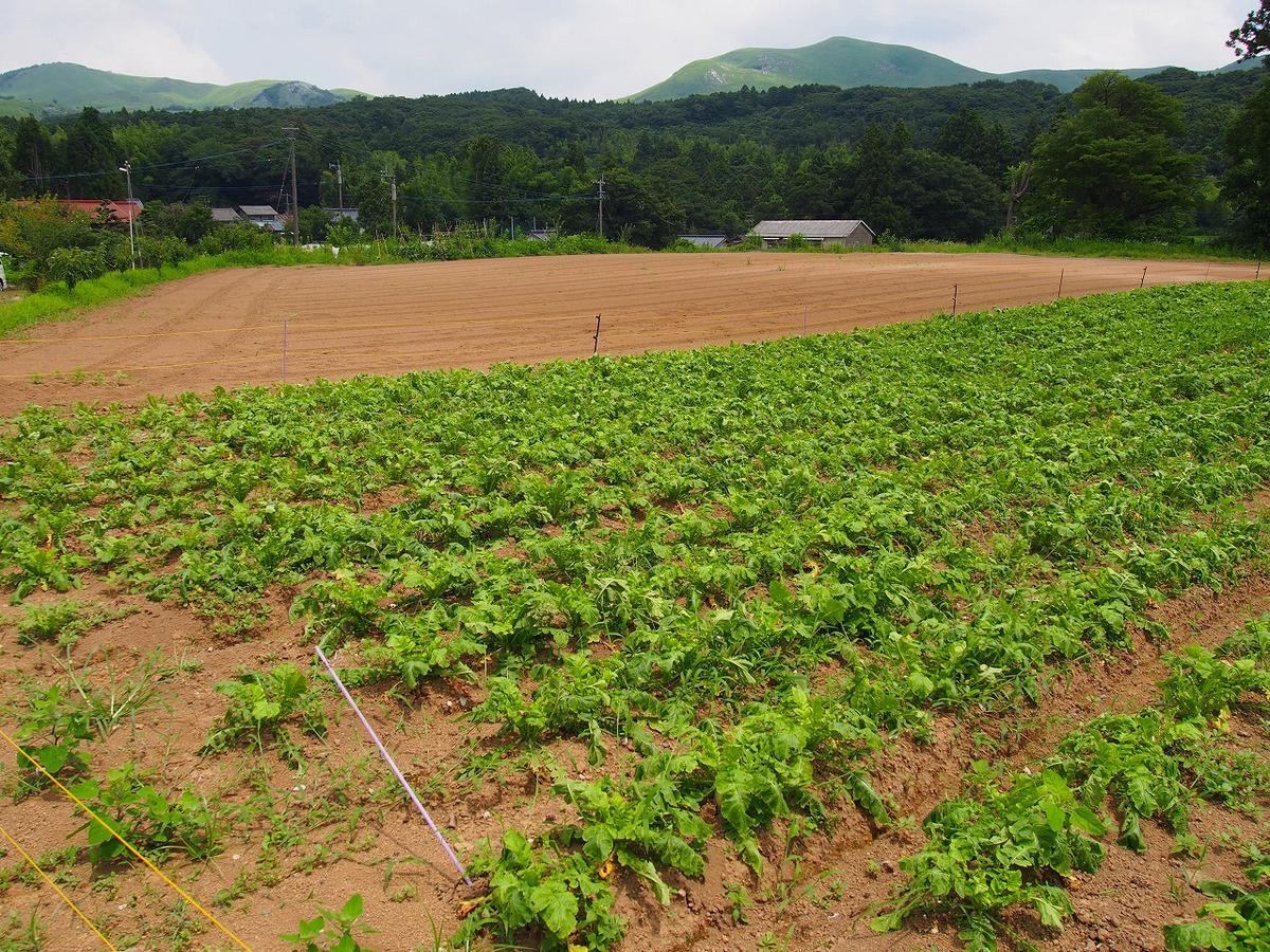 Yamano-Ie Hiraodai Kitakyushu Bagian luar foto